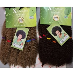 Xpression Ceres Kinky Curly Afro Twist Braids